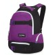 Раница DAKINE Daytripper 30L 