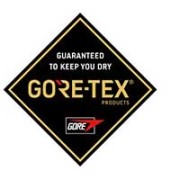 Дамски туристически обувки THE NORTH FACE Hedgehog Hike Gore-Tex black