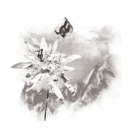Мъжка тениска BASICS Edelweiss white
