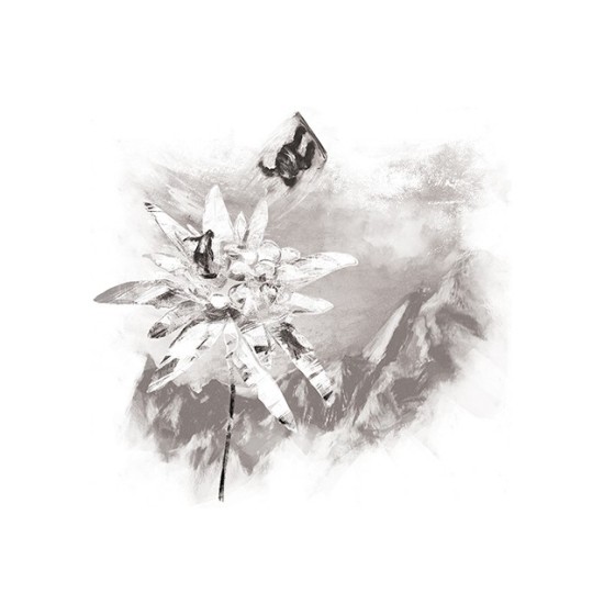 Дамска тениска BASICS Edelweiss white